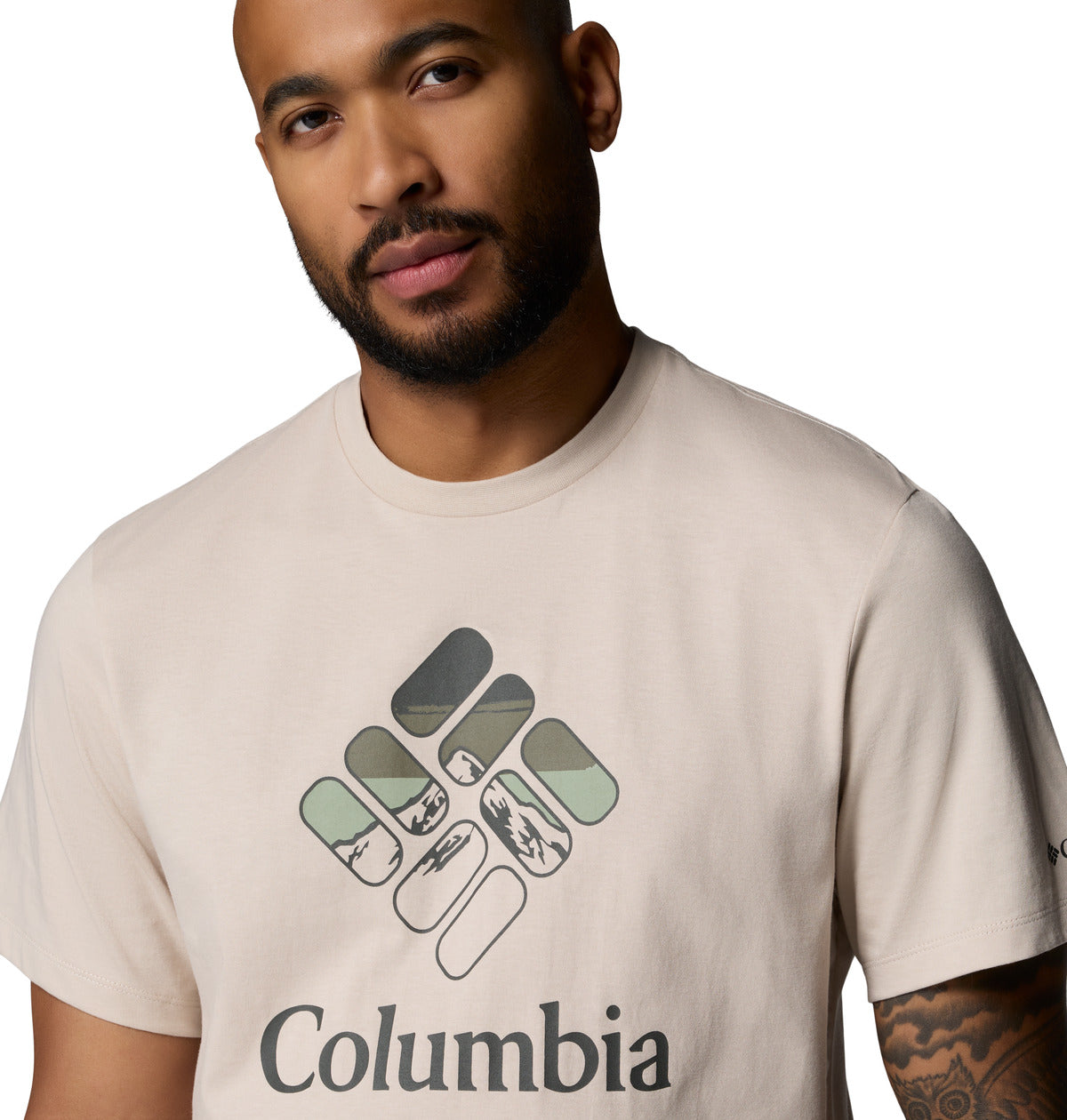 Remera Seasonal Graphic T  Gris