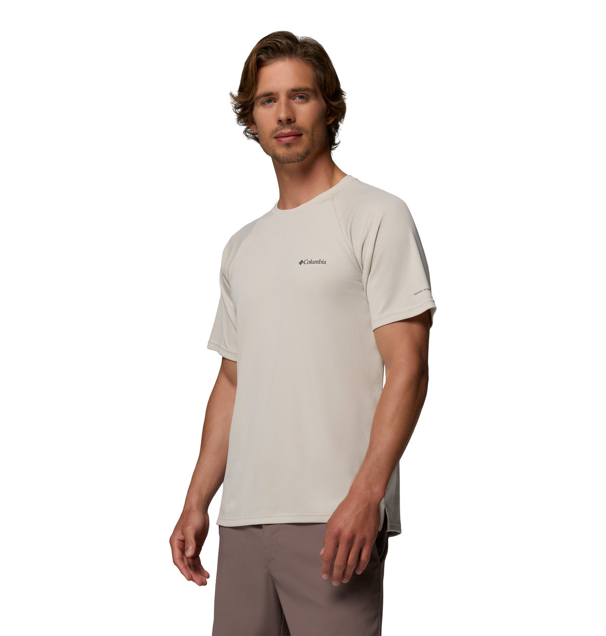 Remera Alpine Chill Pro Ss Omni-Freeze Gris