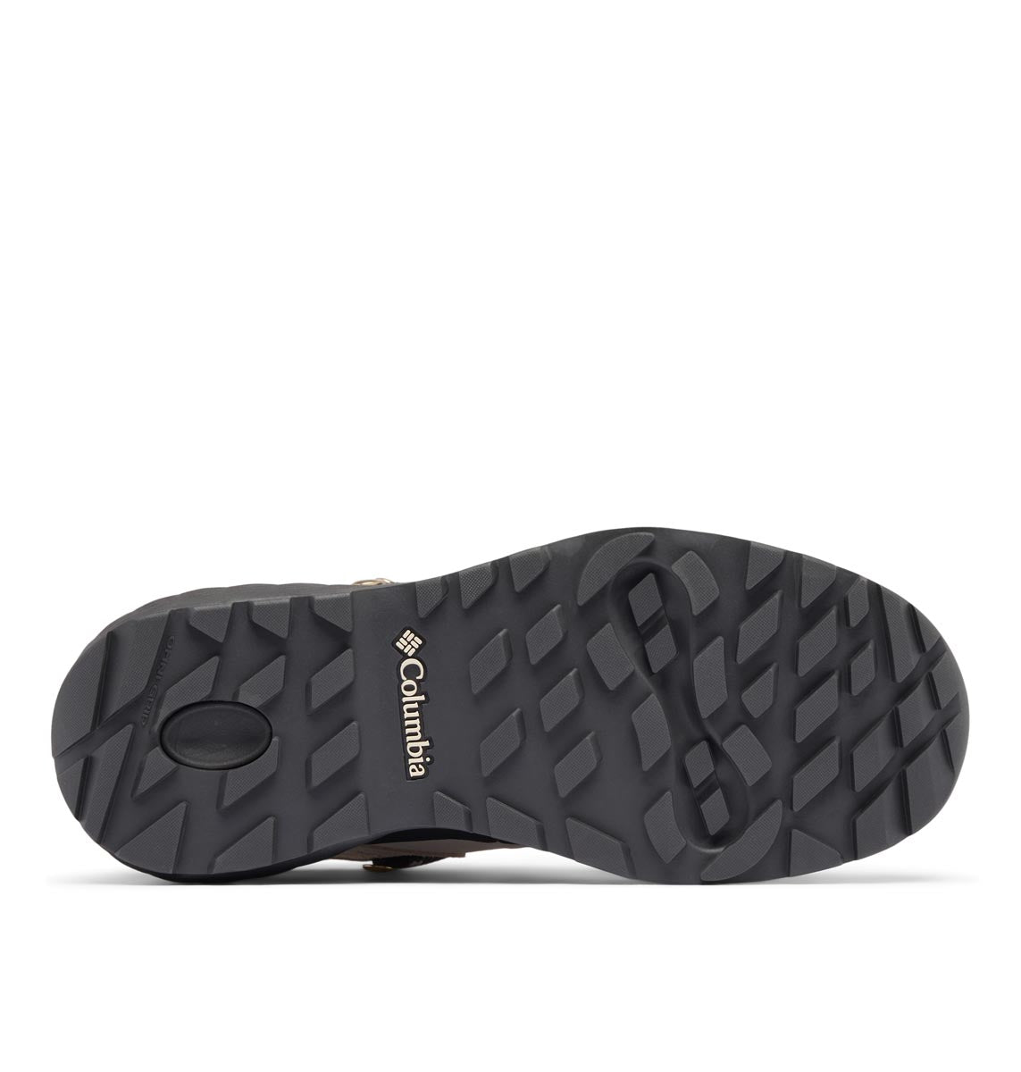 Bota Newton Alpine Pt Techlite Gris