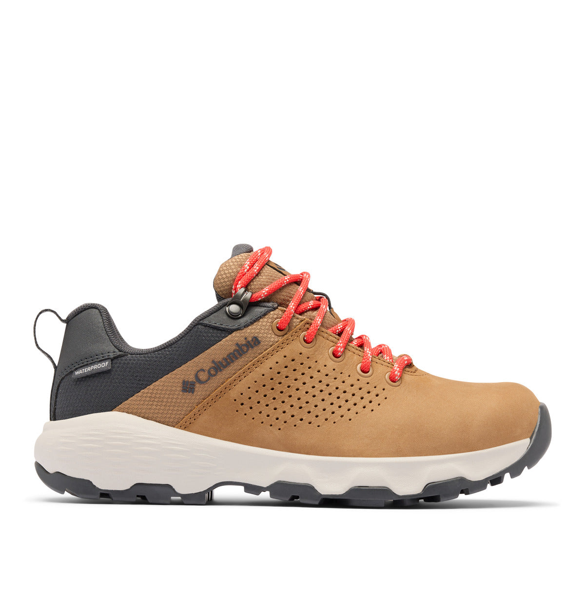 Newton nimble ltr