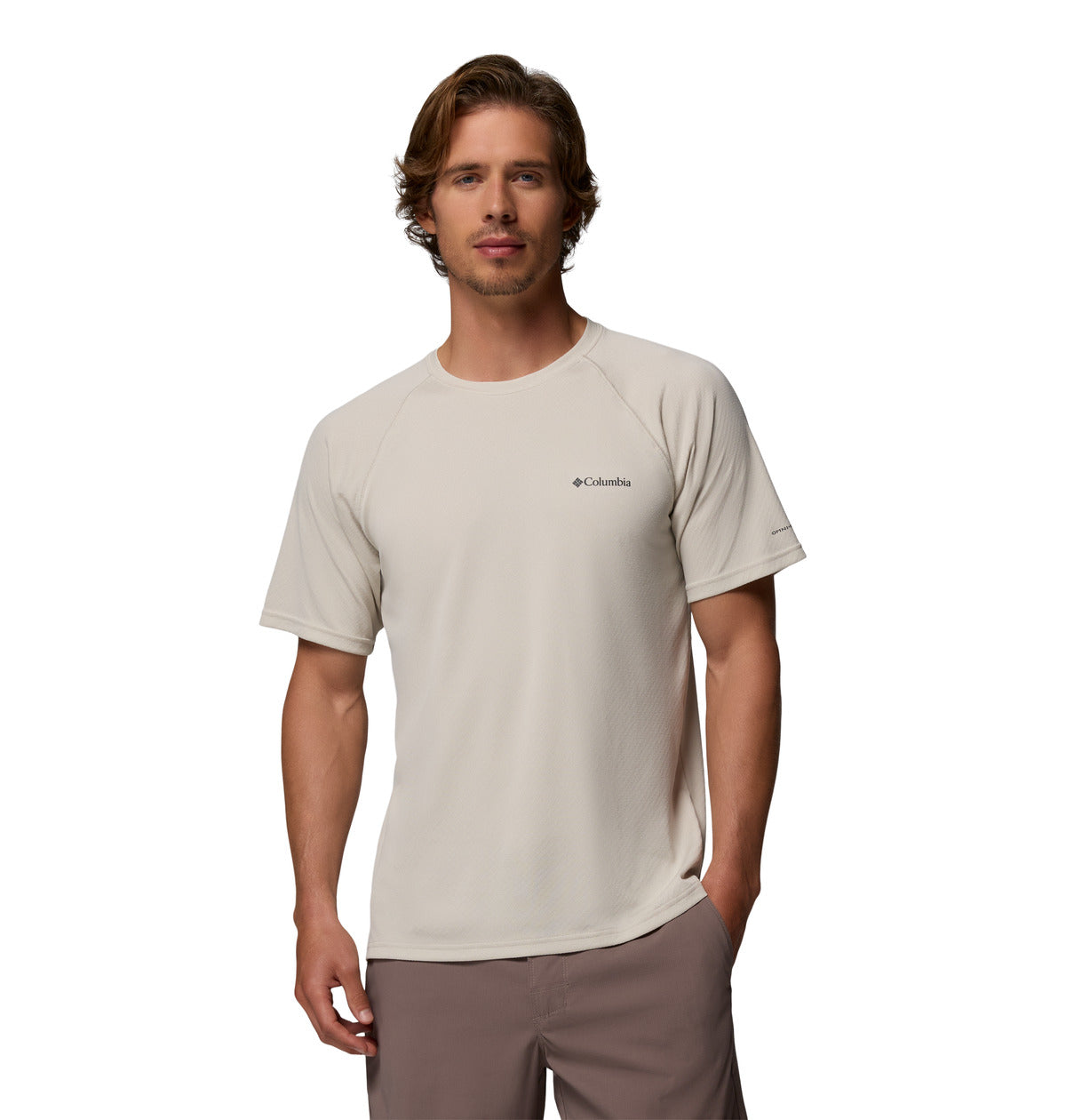 Remera Alpine Chill Pro Ss Omni-Freeze Gris