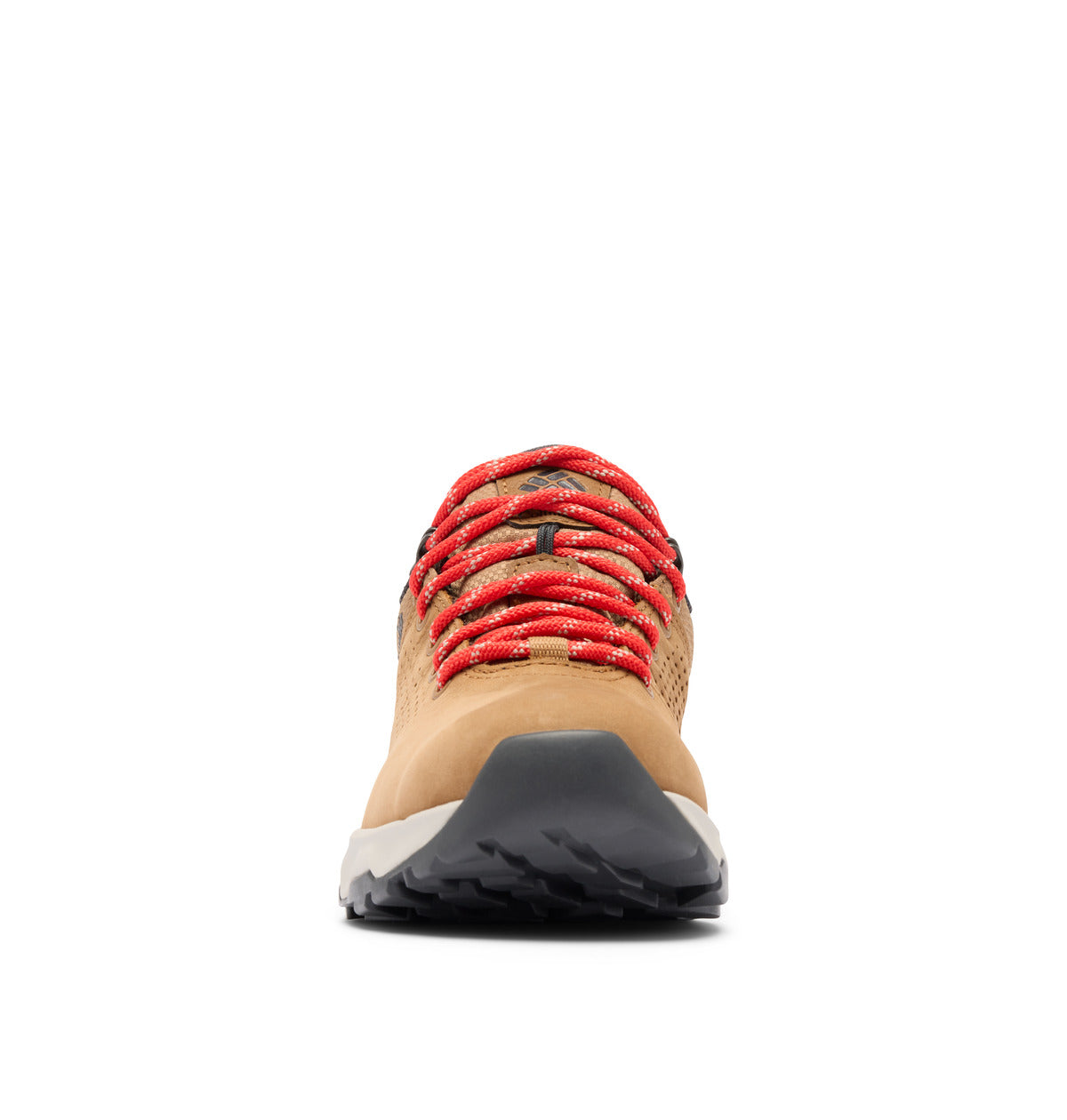 Newton nimble ltr