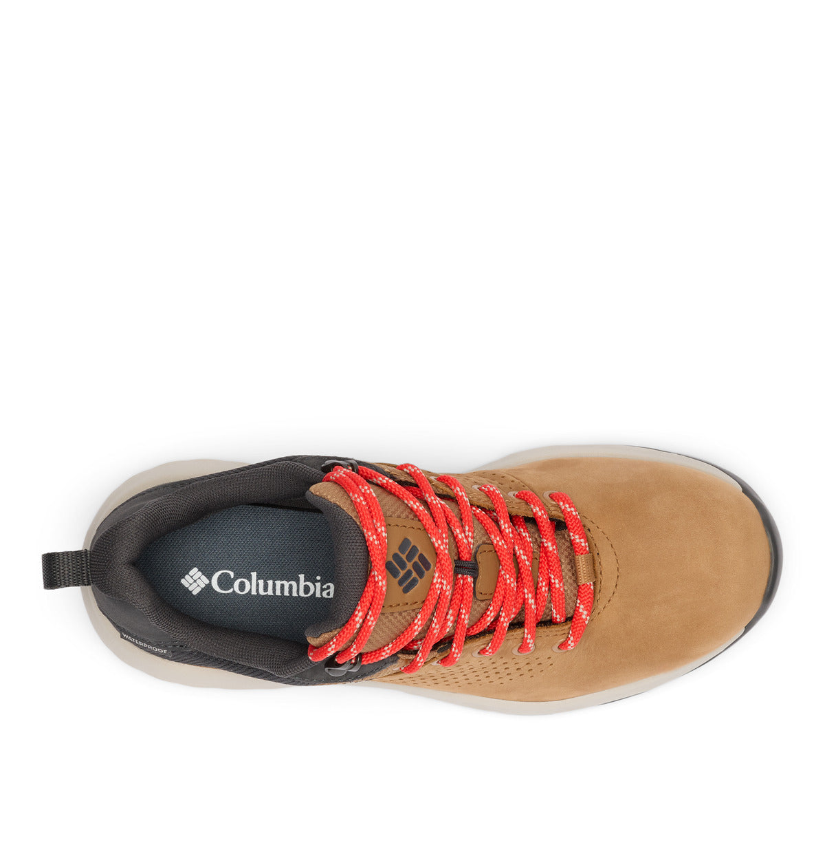 Newton nimble ltr