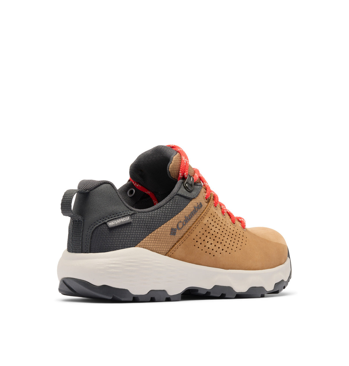 Newton nimble ltr