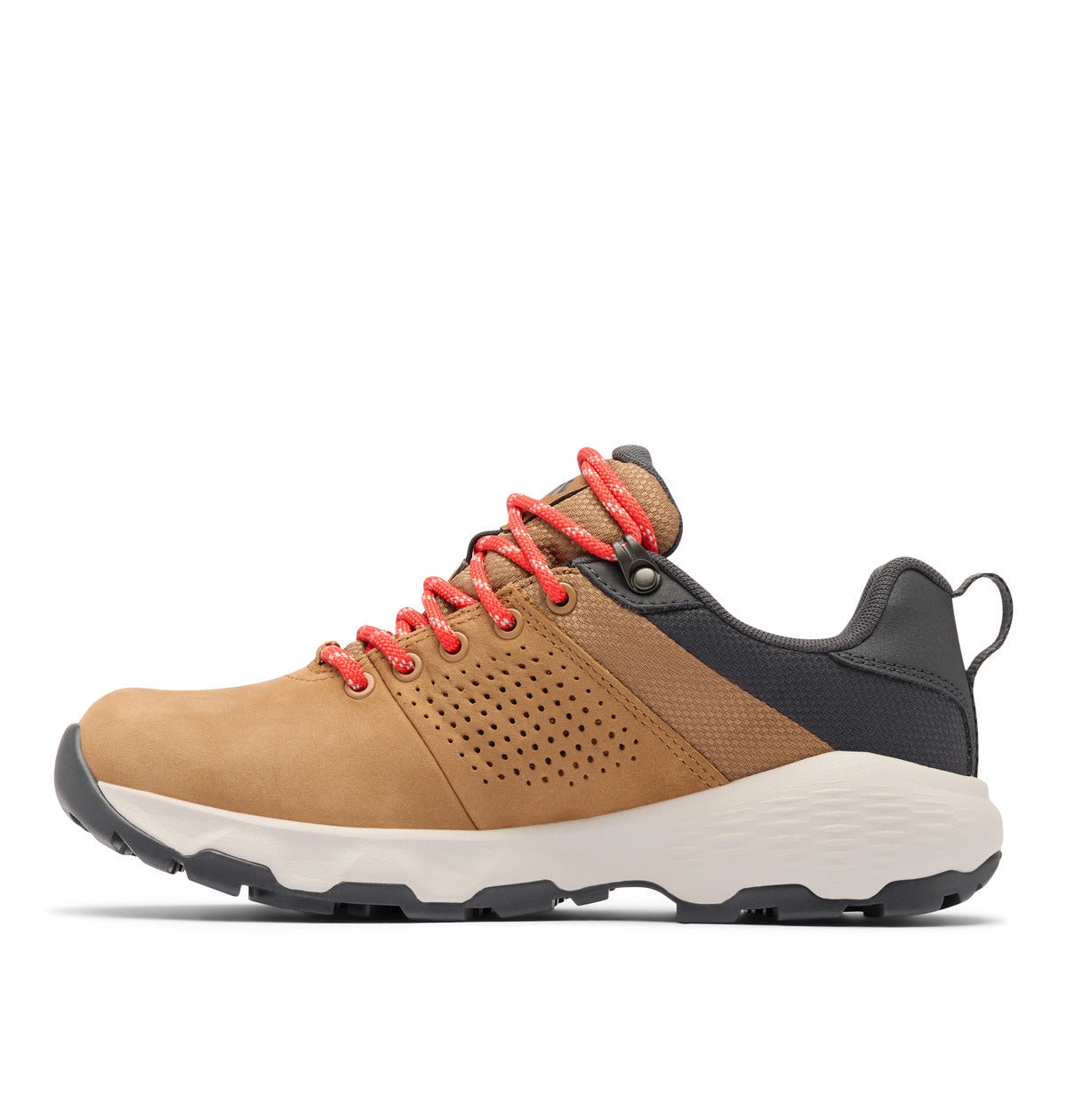 Newton nimble ltr