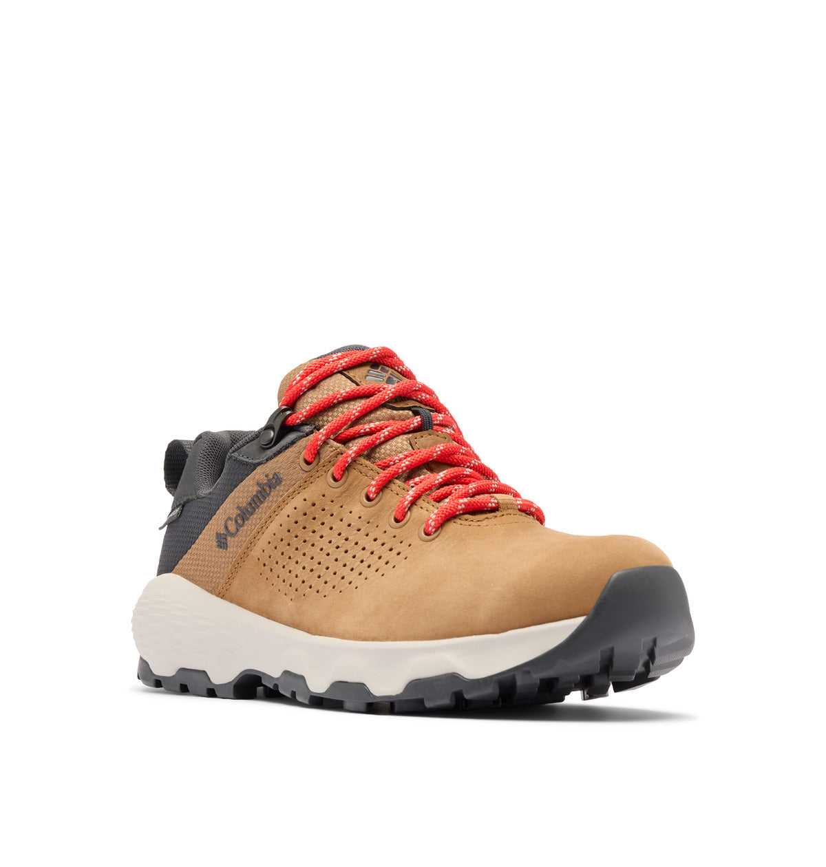 Newton nimble ltr