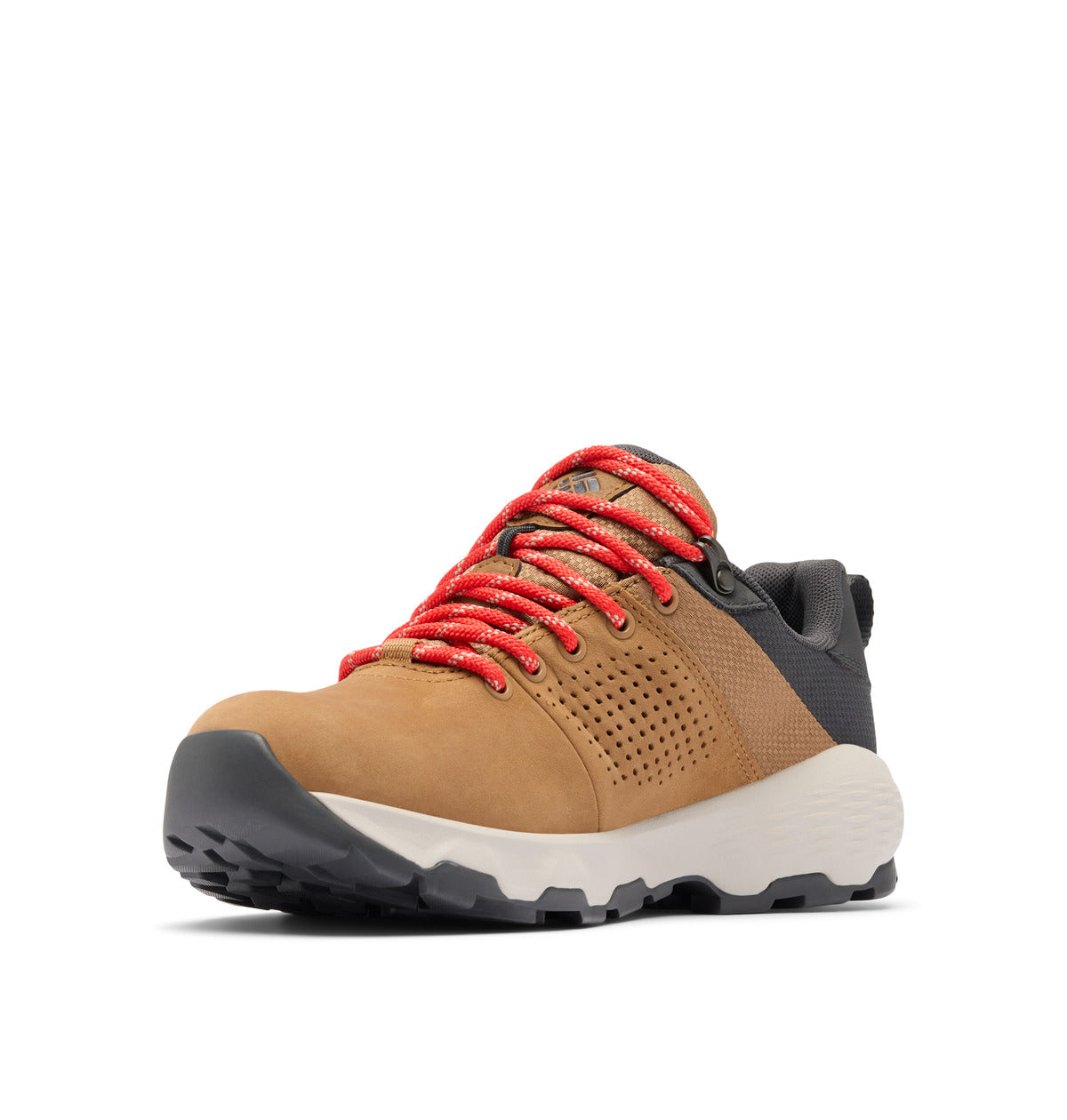Newton nimble ltr