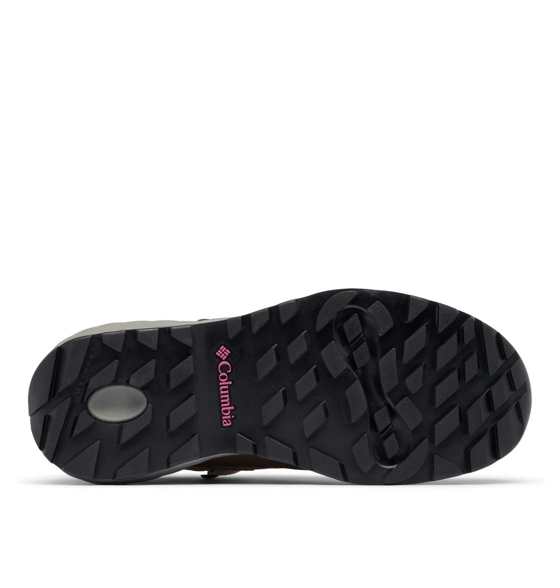 Bota Newton Alpine Pt Techlite Arena